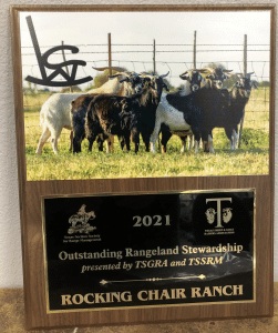 1 Rocking Chair Ranch