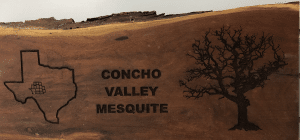 Concho valley mesquite