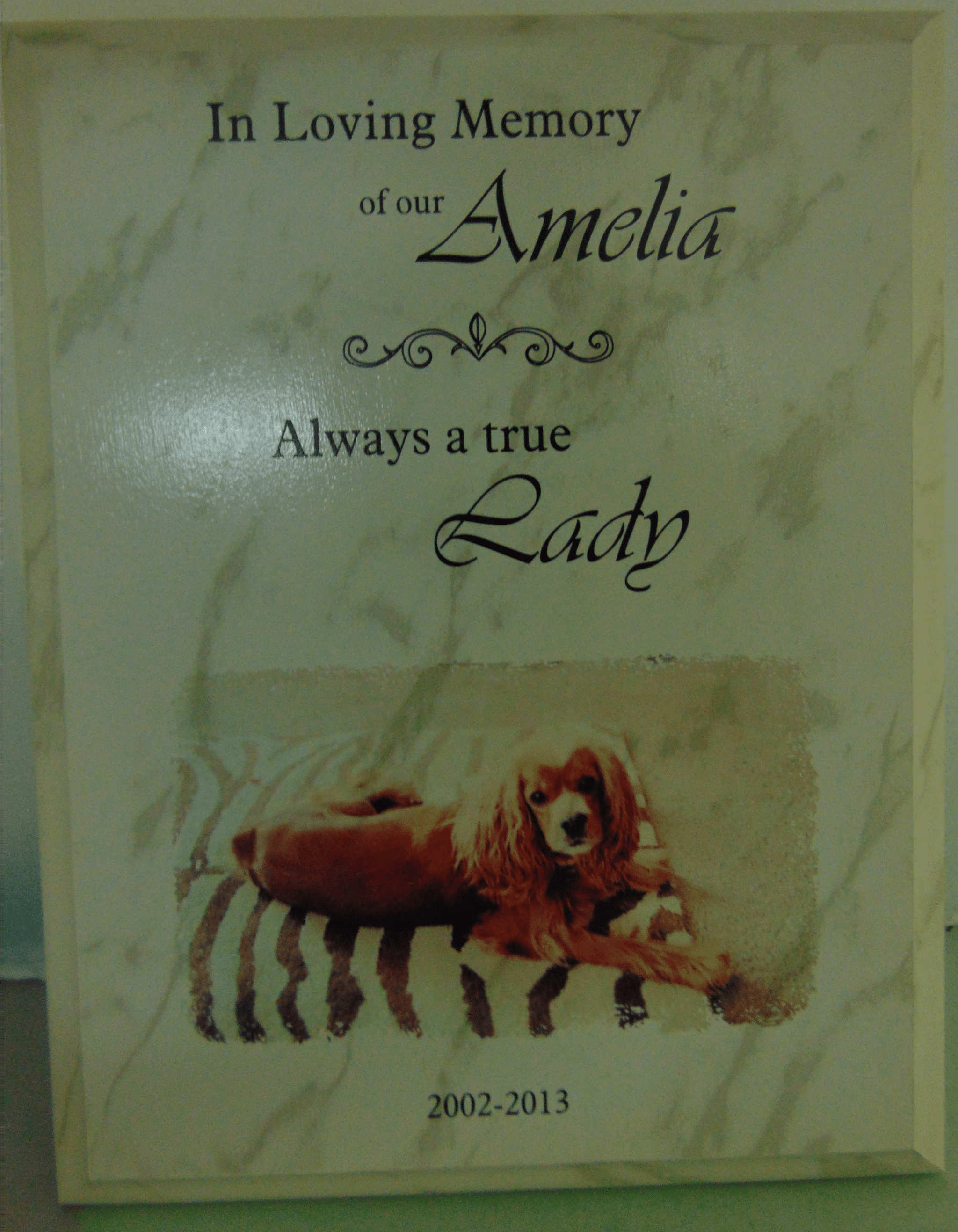 amelia dog memorial